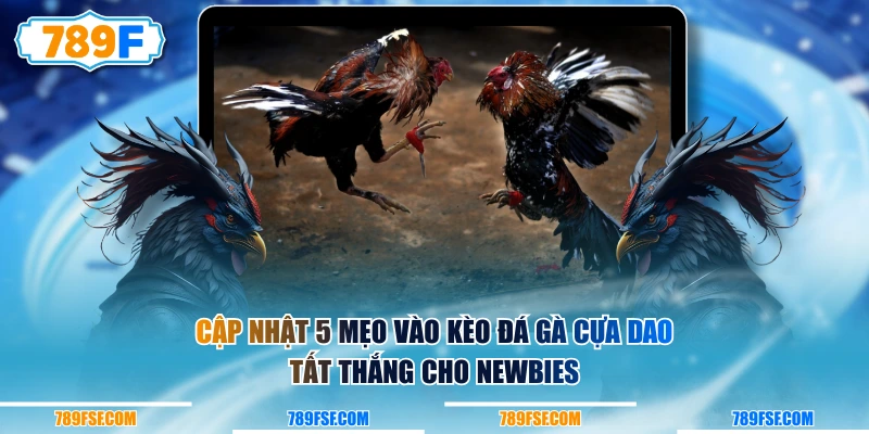 Cập nhật 5 mẹo vào kèo đá gà cựa dao tất thắng cho newbies